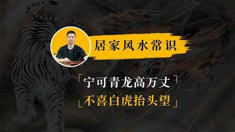 白虎高|“宁可青龙高万丈，不可白虎乱抬头”探究溯源